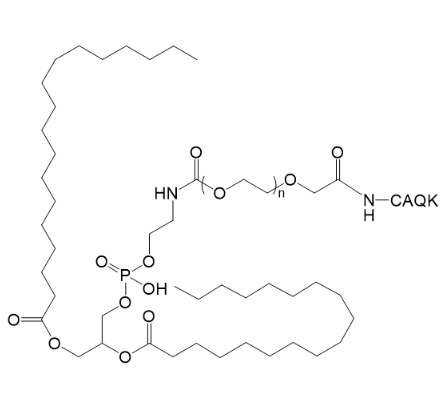 DSPE-PEG2K-CAQK,1,2-二硬脂酰-sn-甘油-3-磷酸乙醇胺-聚乙二醇-CAQK肽 R-273976