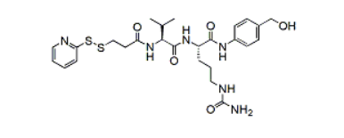 SPDP-Val-Cit-PAB-OH，SPDP-缬氨酸-瓜氨酸-对氨基苄醇 R-472505