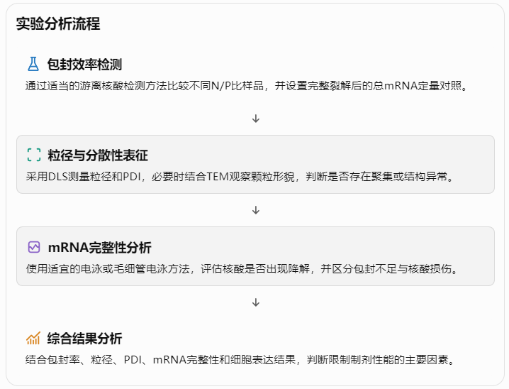 实验分析流程