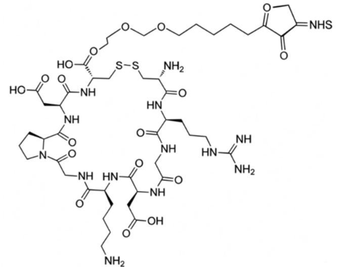 iRGD-PEG-NHS，iRGD肽聚乙二醇-活性酯 R-960673