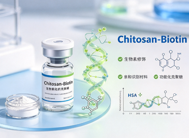 Chitosan-Biotin，生物素化的壳聚糖 R-654544