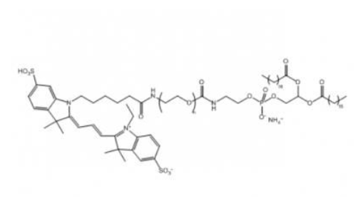 DSPE-PEG-Cy3；二硬脂酰磷脂酰乙醇胺聚乙二醇-花菁3 R-211163