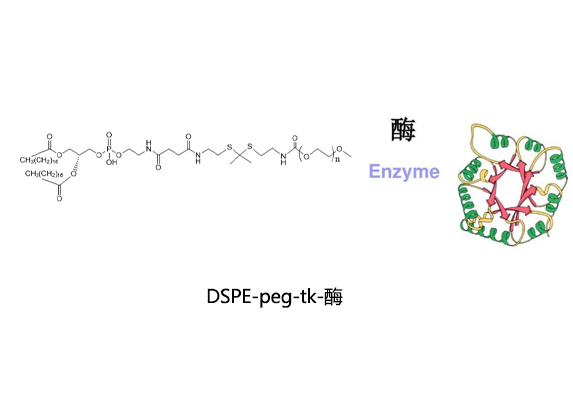 DSPE-TK-PEG2000-酶；1,2-二硬脂酰-sn-甘油-3-磷酸乙醇胺-硫缩酮-聚乙二醇-酶偶联物 R-472149