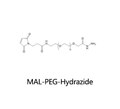 MAL-PEG-Hydrazide；马来酰亚胺聚乙二醇酰肼 R-564894