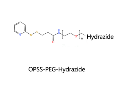 OPSS-PEG-Hydrazide；吡啶二硫聚乙二醇酰肼 R-199825
