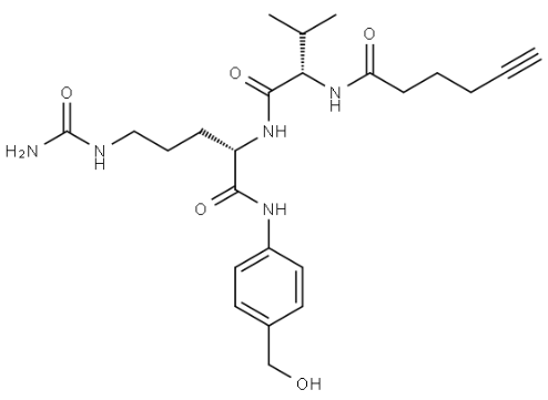Alkyne-Val-Cit-PAB-OH，炔基-缬氨酸-瓜氨酸-对氨基苄醇 R-926838
