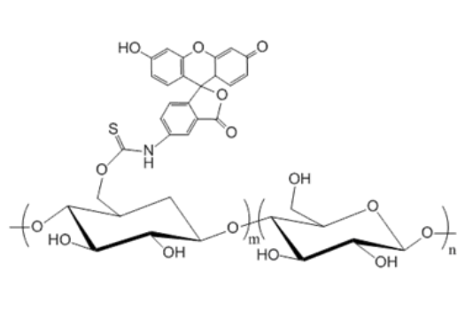 FITC-Dextran，荧光素标记右旋糖酐 R-231098