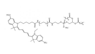 DSPE-PEG-Cy5；二硬脂酰磷脂酰乙醇胺聚乙二醇-花菁5 R-605882