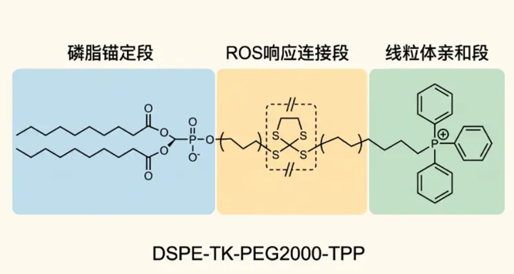 DSPE-TK-PEG2000-TPP；1,2-二硬脂酰-sn-甘油-3-磷酸乙醇胺-硫缩酮-聚乙二醇-三苯基膦 R-815488