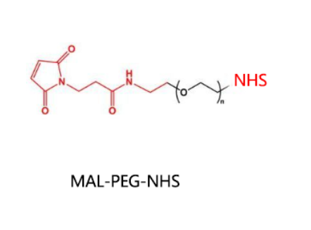MAL-PEG-NHS；马来酰亚胺聚乙二醇活性酯 R-375588