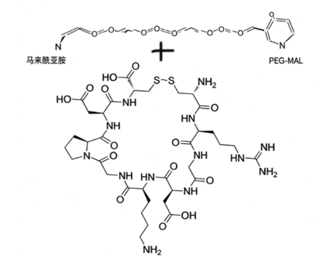iRGD-PEG-MAL；iRGD肽聚乙二醇-马来酰亚胺 R-625172