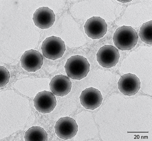 环氧基聚苯乙烯微球，GMA-PS microspheres R-720836