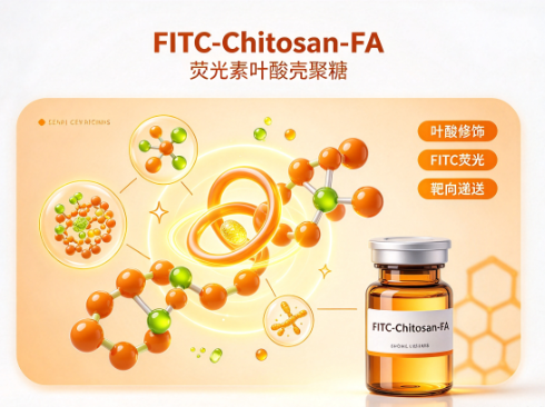FITC-Chitosan-FA，荧光素标记叶酸-壳聚糖 R-368490
