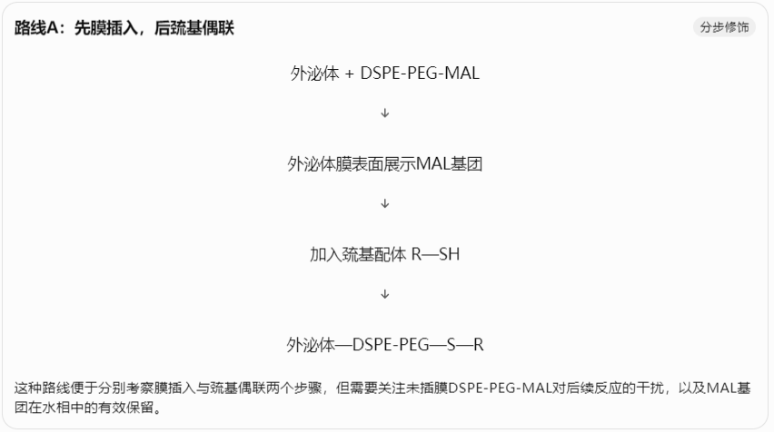 路线A:先膜插入,后巯基偶联
