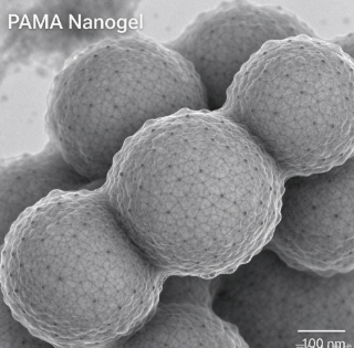 聚曱基丙烯酸酯纳米凝胶，PAMA nanogel R-639615