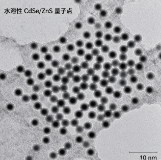 水溶性CdSe/ZnS量子点，WS CdSe/ZnS QD R-252659