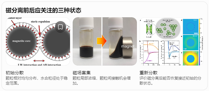 磁分离前后应关注的三种状态