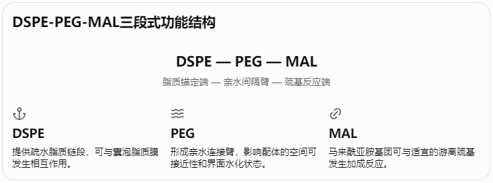 DSPE-PEG-MAL三段式功能结构