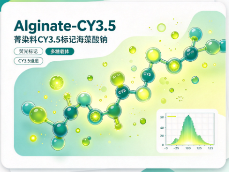 Alginate-CY3.5，菁染料CY3.5标记海藻酸钠 R-933716
