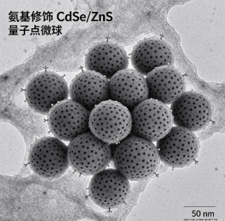 氨基修饰CdSe/ZnS量子点微球，QD-NH2 MS R-926243