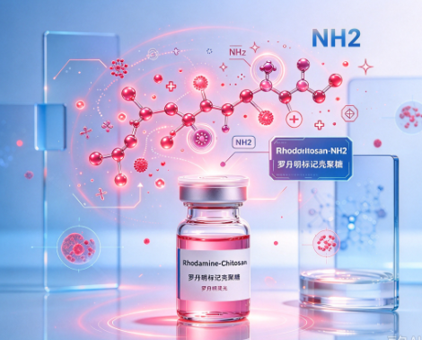 Rhodamine-Chitosan，荧光染料罗丹明标记壳聚糖 R-560424