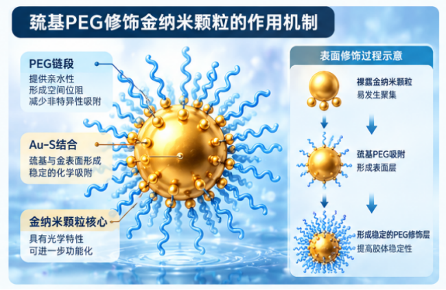 瑞禧生物巯基PEG分子量对金纳米颗粒胶体稳定性的影响及表面修饰机制研究配图