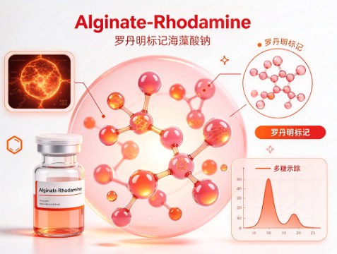 Alginate-Rhodamine，罗丹明标记海藻酸钠 R-955703