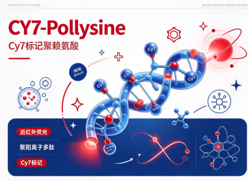 CY7-Polylysine，Cy7标记聚赖氨酸 R-526467