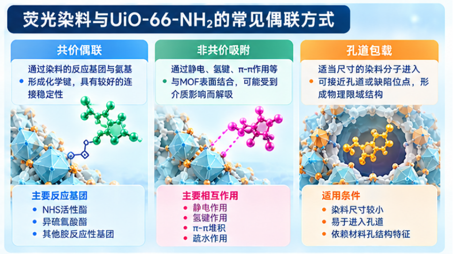 荧光染料与UiO-66-NH2的常见偶联方式