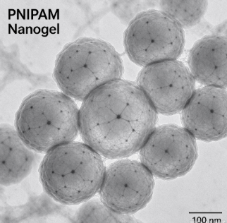 聚N-异丙基丙烯酰胺纳米凝胶，Poly(N-isopropylacrylamide) Nanogel R-689707