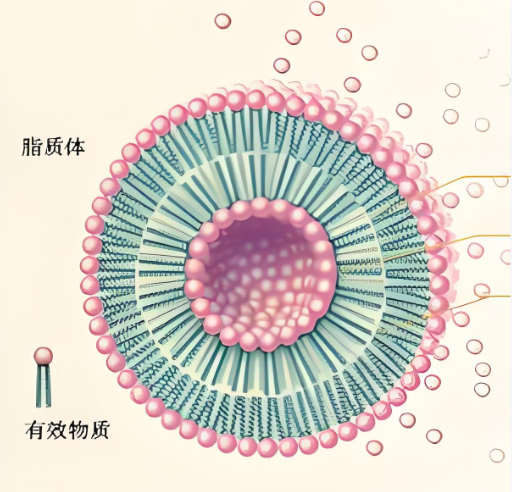 PAMAM-CY5，聚酰胺胺-花菁染料CY5偶联物 R-697310