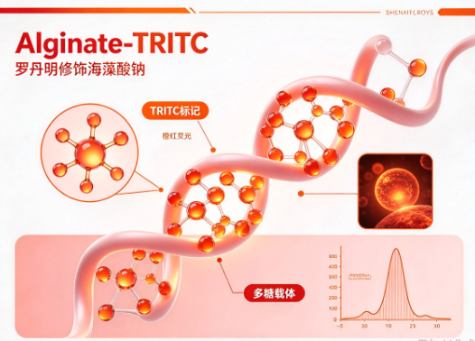 Alginate-TRITC，罗丹明修饰海藻酸钠 R-235730
