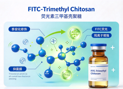 FITC-Trimethyl Chitosan，荧光素标记三甲基壳聚糖 R-984480