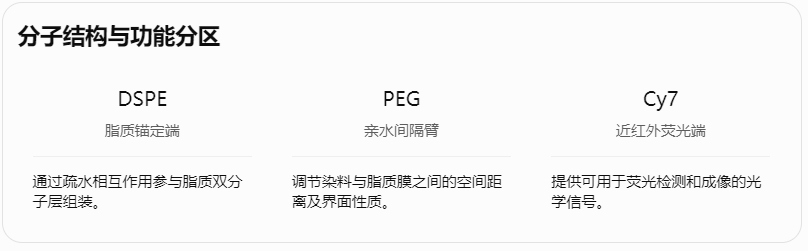 分子结构与功能分区
