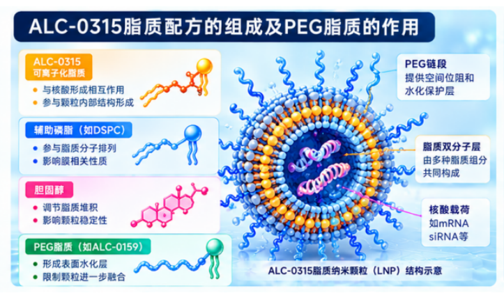 ALC-0315脂质配方中PEG脂质比例对颗粒粒径的影响：从界面组装到粒径分布的调控机制配图