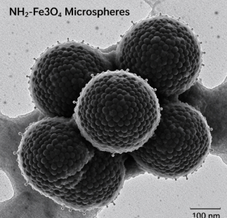 氨基化四氧化三铁微球，NH2-Fe3O4 Microspheres R-477519