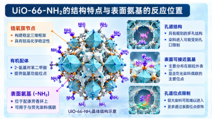 UiO-66-NH₂表面氨基用于荧光染料偶联的技术要点：反应位点选择、荧光保持与功能化质量控制配图