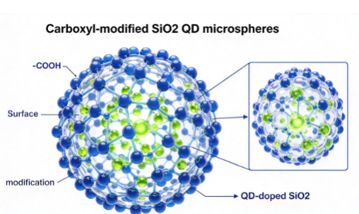 羧基修饰二氧化硅量子点微球，SiO2-QD-COOH R-150065