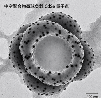 中空聚合物微球负载CdSe量子点，HPM@CdSe QD R-892417