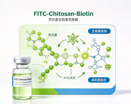 FITC-Chitosan-Biotin，荧光素-生物素-壳聚糖 R-412558