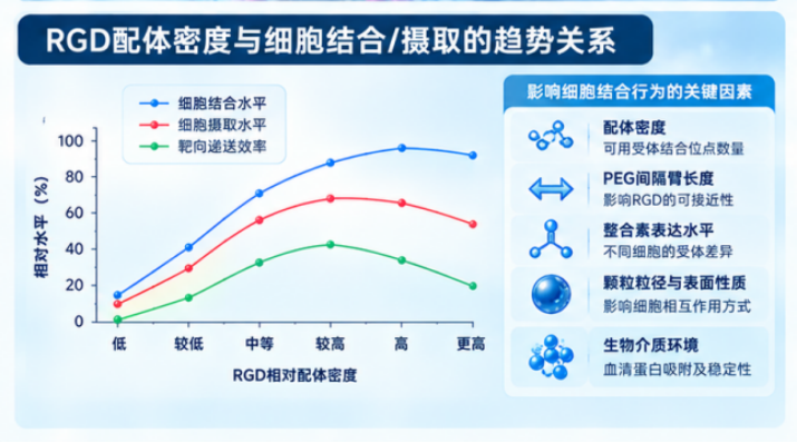 RGD配体密度与细胞结合/摄取的趋势关系