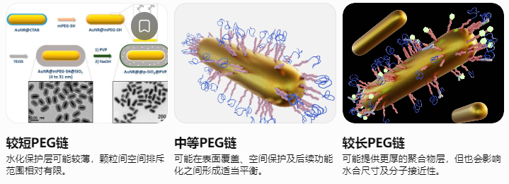 PEG分子量对金纳米棒分散性的影响