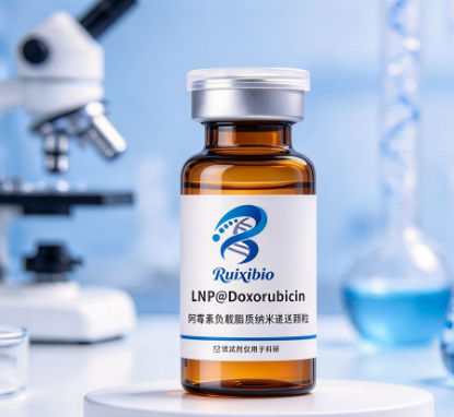 LNP@Doxorubicin，脂质纳米递送颗粒负载阿霉素 R-704643