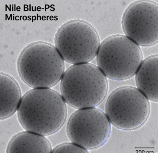 尼罗蓝荧光标记聚苯乙烯微球，Nile Blue-PS Microspheres R-560286