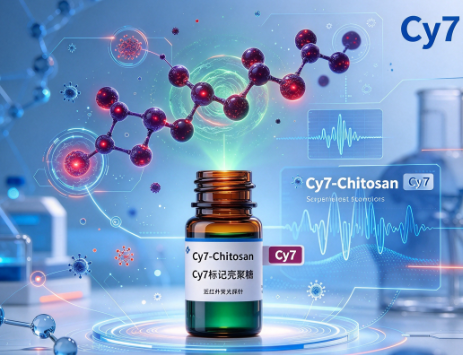 Cy7-Chitosan，荧光Cy7标记壳聚糖 R-935909