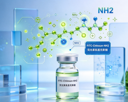 FITC-Chitosan-NH2，荧光素标记氨基修饰的壳聚糖 R-202098