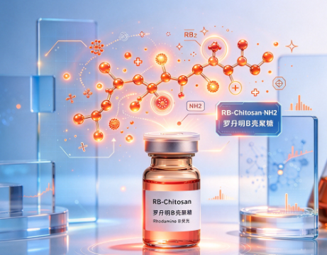 RB-Chitosan，罗丹明 B荧光标记壳聚糖 R-650600