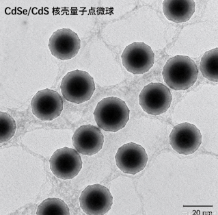 CdSe/CdS核壳量子点微球，CdSe/CdS QD MS R-739843