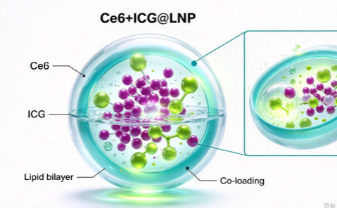 双光敏剂共载脂质纳米粒，Ce6+ICG@LNP R-217057