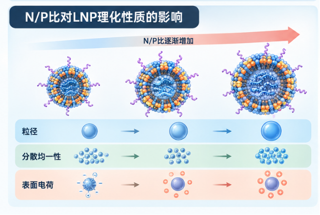 SM-102 N/P比对LNP理化性质的影响